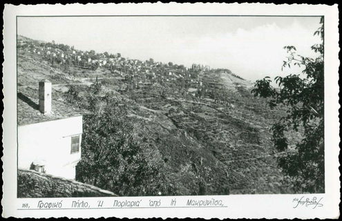 Lot 02429
