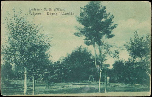 Lot 02419