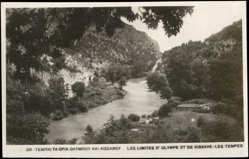 Lot 02425