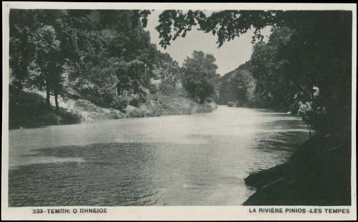 Lot 02424