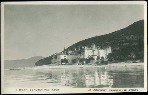 Lot 02445