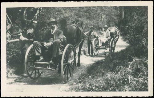 Lot 02482