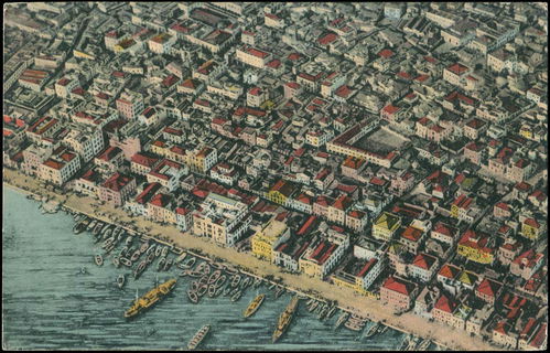 Lot 02447
