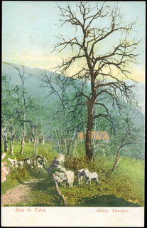 Lot 02403