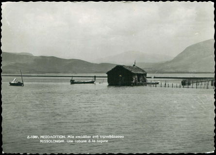 Lot 02413