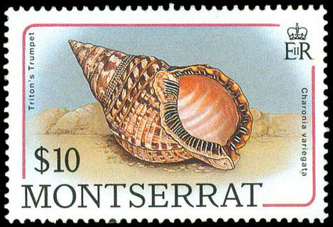 Lot 02254