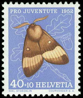 Lot 01957