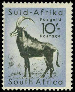 Lot 01999
