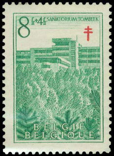 Lot 01885