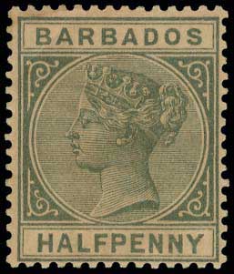 Lot 02993