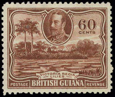 Lot 03002