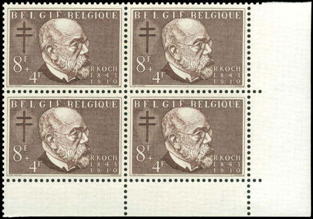 Lot 06144