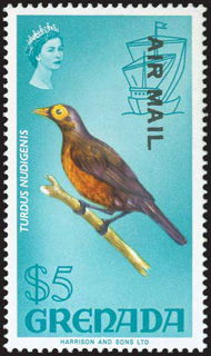 Lot 07111