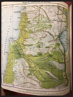 Lot 03431