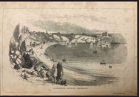 Lot 03428