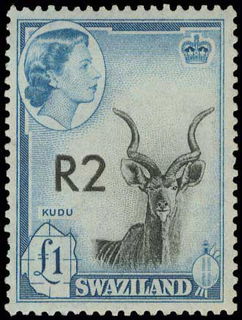Lot 01676