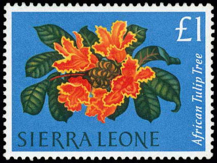 Lot 01671