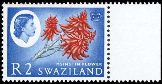 Lot 01677