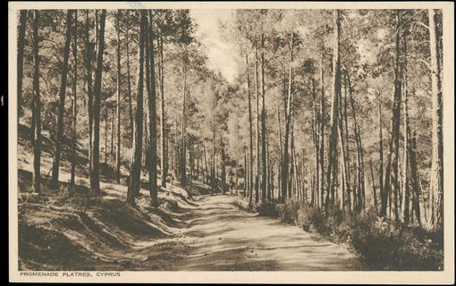 Lot 03106