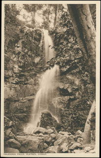 Lot 03107