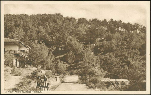 Lot 01708
