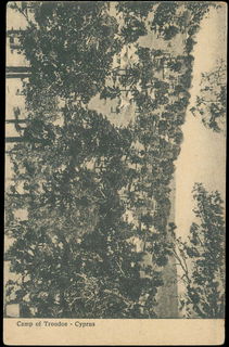 Lot 03704