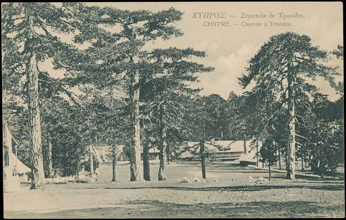 Lot 03605