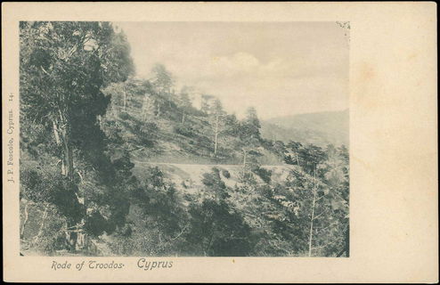 Lot 03139