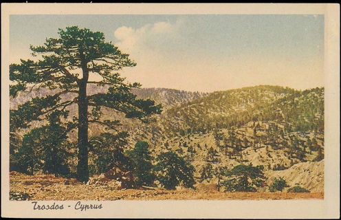 Lot 03117
