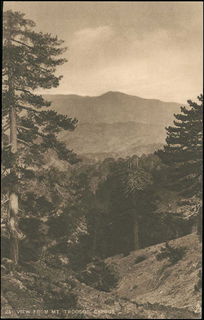 Lot 03616