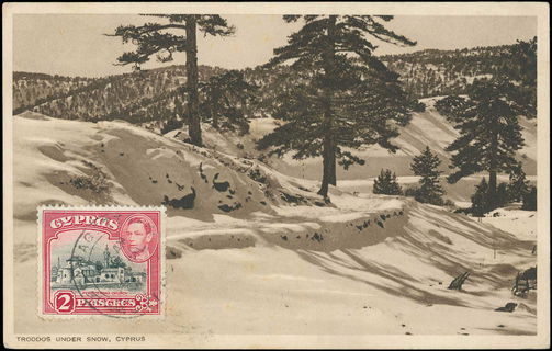 Lot 03102