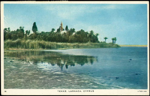 Lot 03642