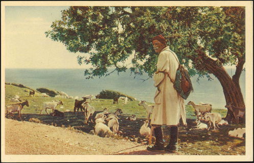 Lot 01721