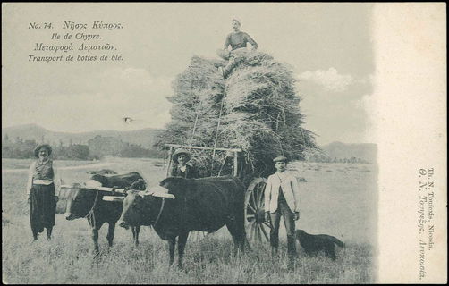 Lot 03593