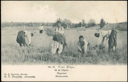 Lot 03595