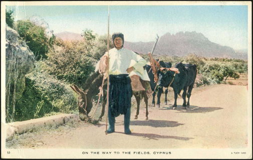 Lot 01754