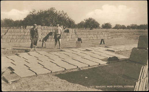 Lot 03619