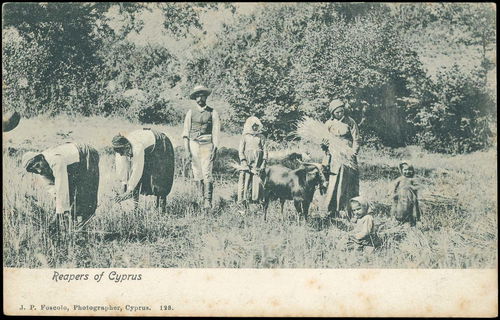 Lot 03142