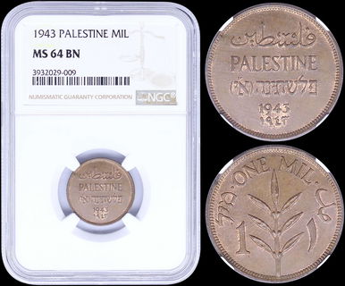Lot 08239