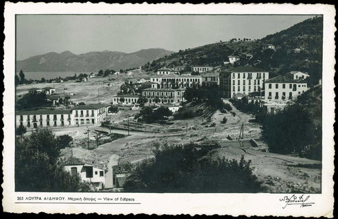 Lot 02038