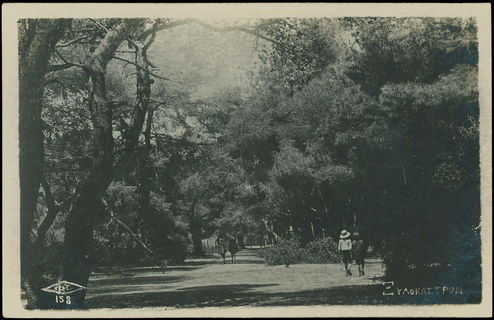 Lot 04805