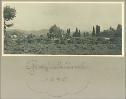 Lot 03138
