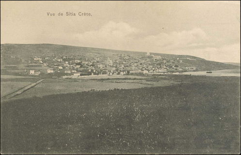 Lot 01377