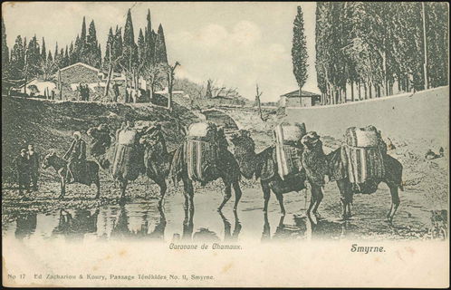 Lot 01846
