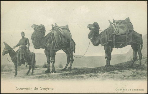 Lot 01845
