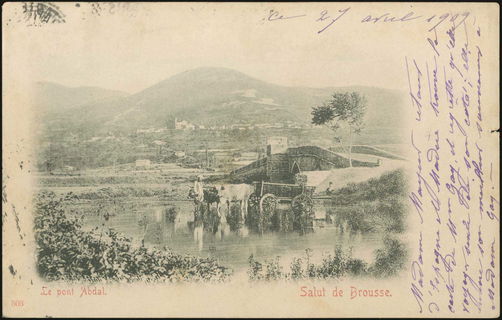 Lot 01831