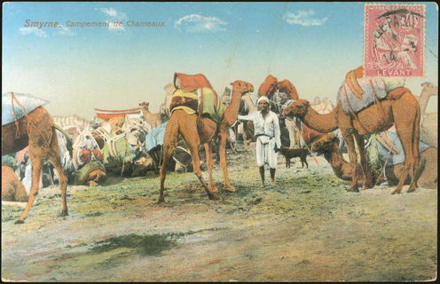 Lot 01844
