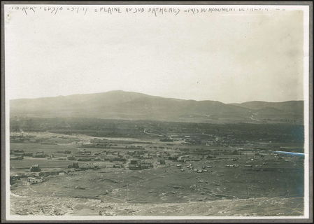 Lot 03449