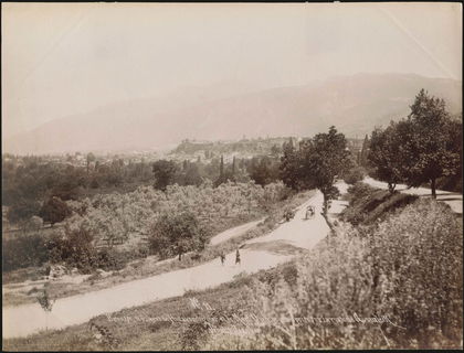 Lot 03471