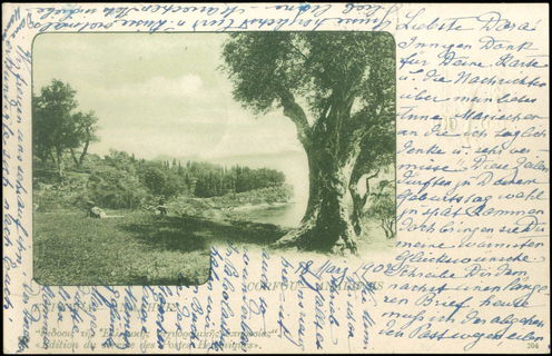 Lot 01010